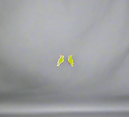 Parrot design earrings | Pure silver Earrings Silvergift.in